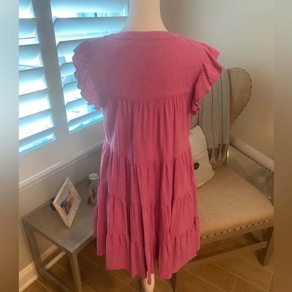 Roller Rabbit Raspberry Pippa Dress - Picture 3 of 3